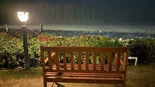 The Riverview Retreat Jim Corbett  The Riverview Retreat Corbett by leisure hotels  Vlog [upl. by Valencia878]