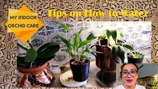 HOW I WATER MY ORCHIDS Tagalog [upl. by Whitcher]