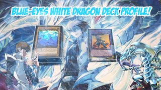 BLUEEYES WHITE DRAGON Deck Profile April 2023  YUGIOH [upl. by Lokkin]