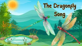 The Dragonfly Song  Animal Songs for Kids  Dragonfly Facts for Kids  Silly School Songs [upl. by Immat]