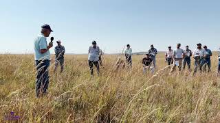 Control of Old World Bluestem and Pasture Renovation Project with Kansas State University Experts [upl. by Aran]