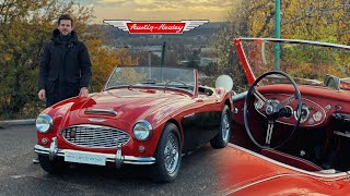 EN VENTE  Présentation de notre Austin Healey 3000 MKI BN7  1960 [upl. by Malia]