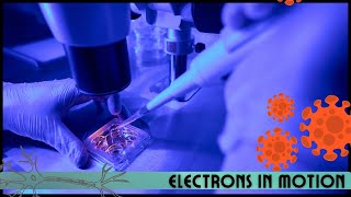 Worlds Fastest Microscope See Electrons in Motion [upl. by Halyahs375]