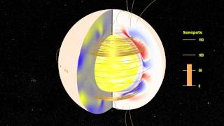 The Solar Dynamo Toroidal and Radial Magnetic Fields [upl. by Oakman64]