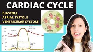 Alevel CARDIAC CYCLE Diastole atrial systole ventricular systoles the pressure volume changes [upl. by Nesyt735]