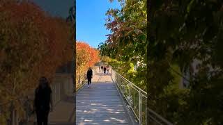 The Squibb Park BridgeBrooklyn Bridge Park NY USA 🇺🇸 [upl. by Wilkins]