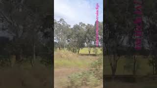 VLINE Southern Cross To Albury NSW 121124 victoria shorts shortvideo train travel views [upl. by Tolman]