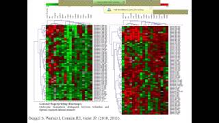 EffectBased Tools Monitoring amp Predicting Aquatic Ecotoxicological Effects of Chemicals Part II [upl. by Dahc]