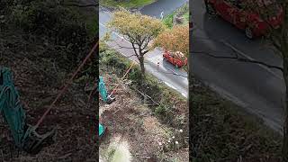 DRONE FOOTAGE Of Digger Removal Of Trees For Housing Development [upl. by Aveer943]