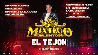 EL TEJON COVERS EL MIXTECO TALENTOSO [upl. by Wilburt]