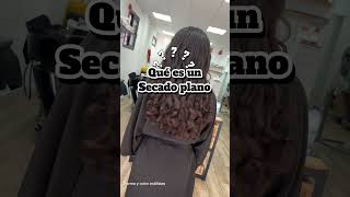 SECADO plano en POROSIDAD ALTA frizzfreehair frizzcontrol curlyprofesional peluquerocurly curl [upl. by Casabonne347]