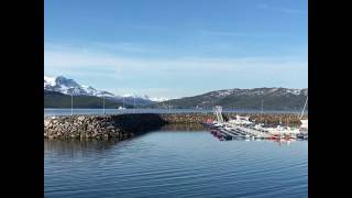 Olderhamna småbåthavn på Finnsnes i Lenvik kommune [upl. by Bahner]