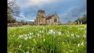 Damerham snowdrops [upl. by Ahsinroc975]