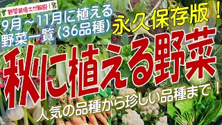 秋に植える野菜（36品種）永久保存版 [upl. by Lucretia668]