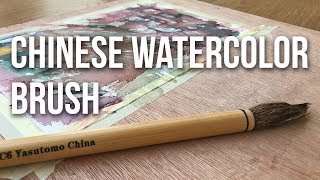 Chinese Watercolor Brush Review amp Demo [upl. by Innavoig303]