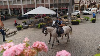 Auf STREIFE mit der POLIZEI REITERSTAFFEL in FULDA [upl. by Justine]