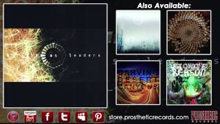 Animals As Leaders  Track Nine  Inamorata [upl. by Ahsenhoj]