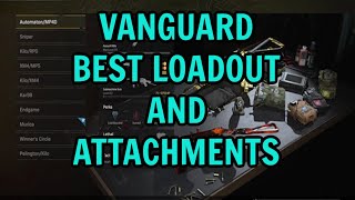 COD Best Vanguard Loadout [upl. by Gibbon]