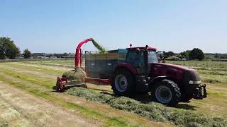 Silage 2023  Case Magnum 310 amp Tarrup 10x [upl. by Ronacin71]