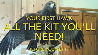 FALCONRY All the kit you need for your first hawk Harris hawk redtail  lanner and others [upl. by Price579]