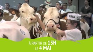 Bande annonce Montbéliard Prestige 2016 [upl. by Karlow]