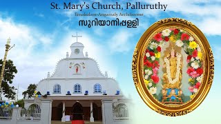 Sunday വിശുദ്ധ കുർബാന 101124  Holy Mass  StMarys Church Palluruthy [upl. by Ozne325]