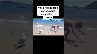 A felicidade da gaivota reels humor rota memes trechosdeseries comedia rotafilmes chuvas [upl. by Latsyrcal648]