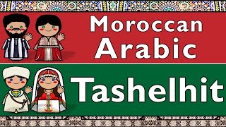 MOROCCAN ARABIC DARIJA amp TASHELHIT SHILHA [upl. by Mukerji906]