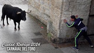 Ciudad Rodrigo 2024 Toro del Aguardiente Encierro Capea y Desencierro [upl. by Aicyla169]