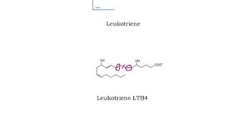 285 Overview of eicosanoids [upl. by Soraya885]