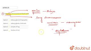 Lampbrush chromosomes are found inside [upl. by Kenton]