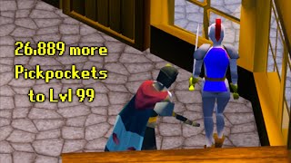 How Im Getting 99 Thieving From Lvl 95 Ardougne Knights Guide [upl. by Aldo]