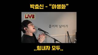 박효신  야생화  Cover Pheusmo 하이라이트 [upl. by Dot]