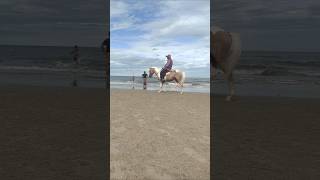 Ride Horse on the Beach shortsvideo shortvideo shorts short [upl. by Jelena]