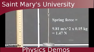 Hookes Law and Spring Constant [upl. by Gordon]