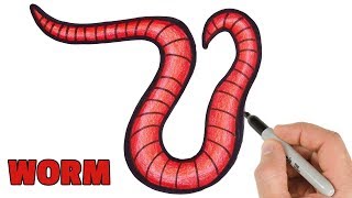 How to Draw and Color a Worm Easy  Step by step animals drawings [upl. by Asoj]