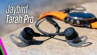 Jaybird Tarah Pro Premium Sport Headphones Review vs X4 [upl. by Ityak]