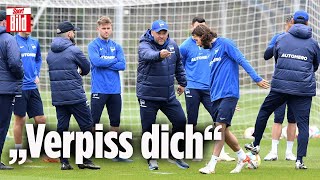 Hertha BSC Trainer Pal Dardai schmeißt Ivan Sunjic raus [upl. by Bamberger]