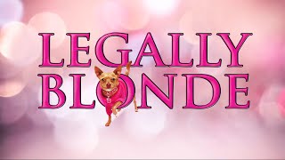 Legally Blonde Blonde Ambition Takes on Harvard [upl. by Volpe]