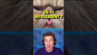 ESTU PLUS INTELLIGENT QUE CE CHAT [upl. by Yeliac]