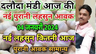 दलोदा मंडी आज की नई और पुरानी लहसुन आवक 04 जनवरी 2024 new ooty garlic arrival todat daloda [upl. by Abixah]