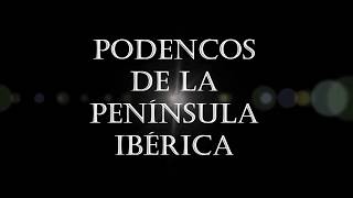 PODENCOS DE LA PENINSULA IBERICA Cazadores con Podencos de España [upl. by Rabassa]