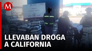 Decomisan 303 kg de cocaína y mil 125 de metanfetamina en garita de Tijuana [upl. by Eyot666]