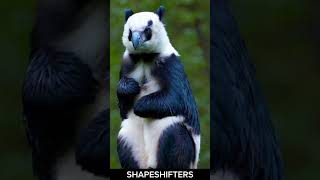 REAL Shapeshifters CAUGHT on Camera [upl. by Garik911]