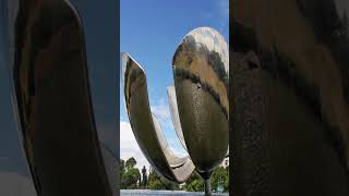 La increíble Escultura Floralis Genérica🌸😮 youtubeshorts curiosidades datosquenosabias sabiasque [upl. by Anaihr]