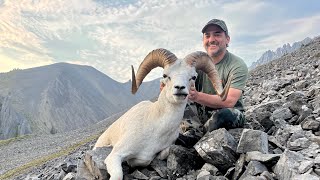 Dall Sheep NWT Mackenzie Mountains [upl. by Inhsor323]