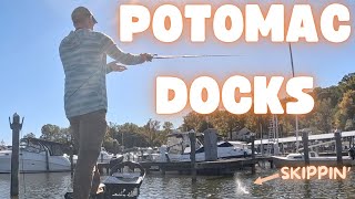 Skipping Docks for Bass on the Potomac River [upl. by Bhayani]