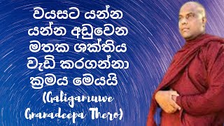 වයසට යන්න යන්න අඩුවෙන මතක ශක්තිය වැඩි කරගන්නා ක්රමය මෙයයි Galigamuwe Gnanadeepa Thero [upl. by Ahsinal]