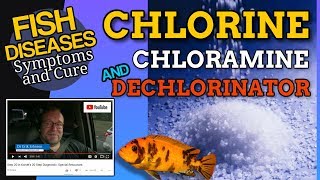 What is Chlorine and How to Dechlorinate [upl. by Luca563]