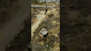 Mountain Biking Enduro Race FPV Drone ShotSouthridge Racing Family [upl. by Oine971]